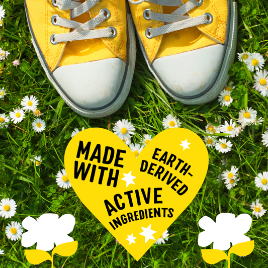 Household Hero Cleaning Bundle